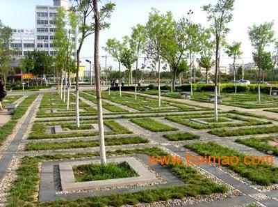 芳源園藝 專業承接佛山綠化養護與景觀工程建設