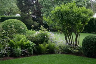 難得一見(jiàn)的園林綠化施工過(guò)程全記錄 從荒地到園林的蛻變之旅